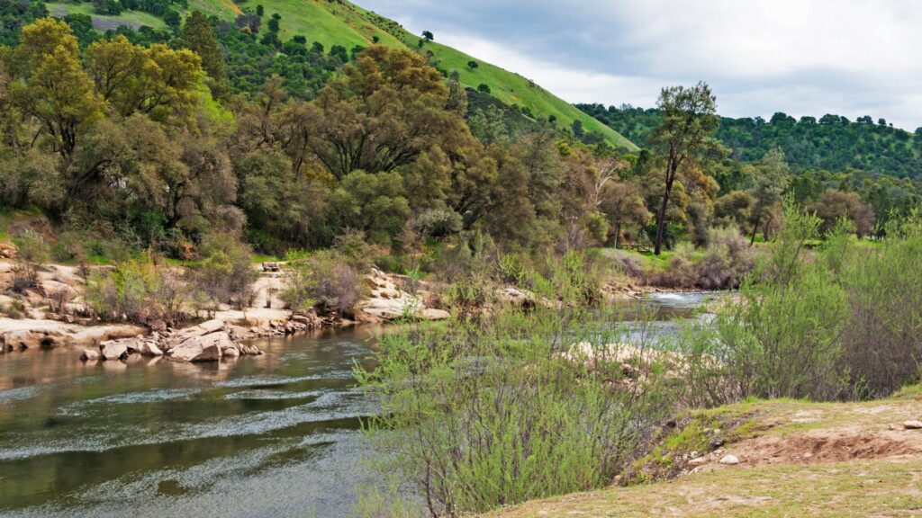 View of a river