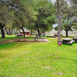 Marshall Gold Discovery State Park