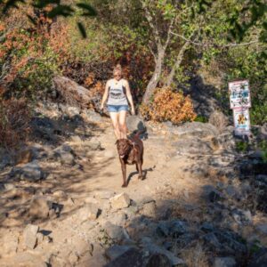 person hiking with a dog