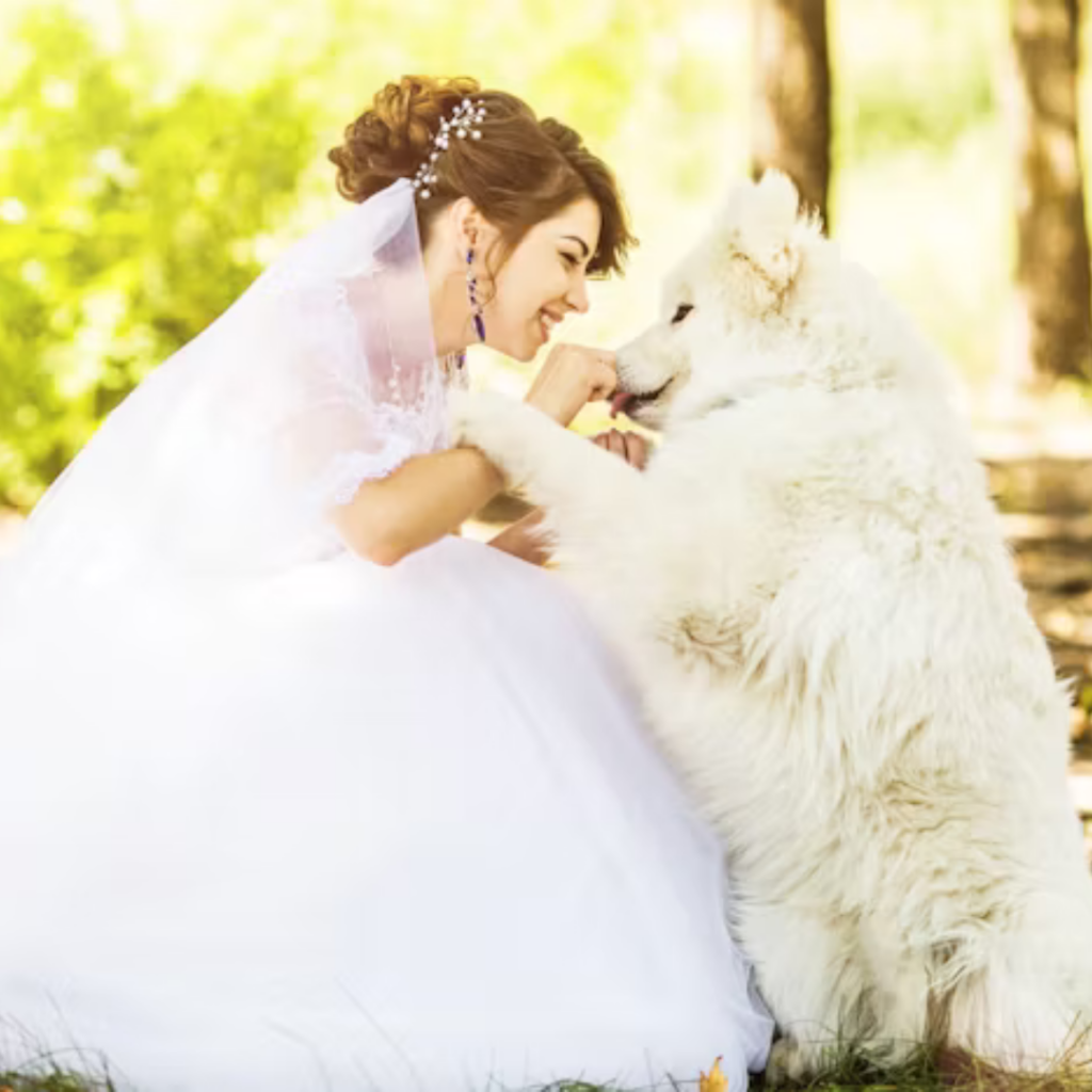 Dog at Wedding