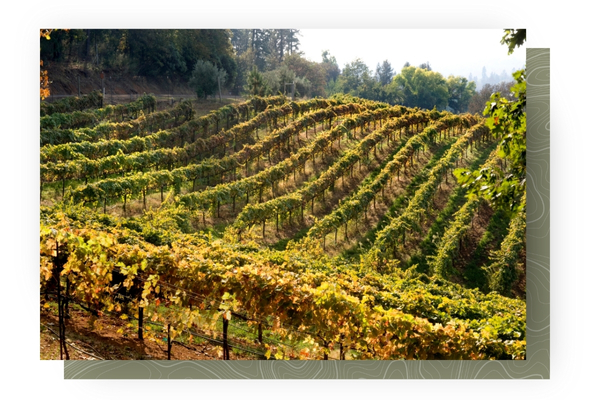 winery