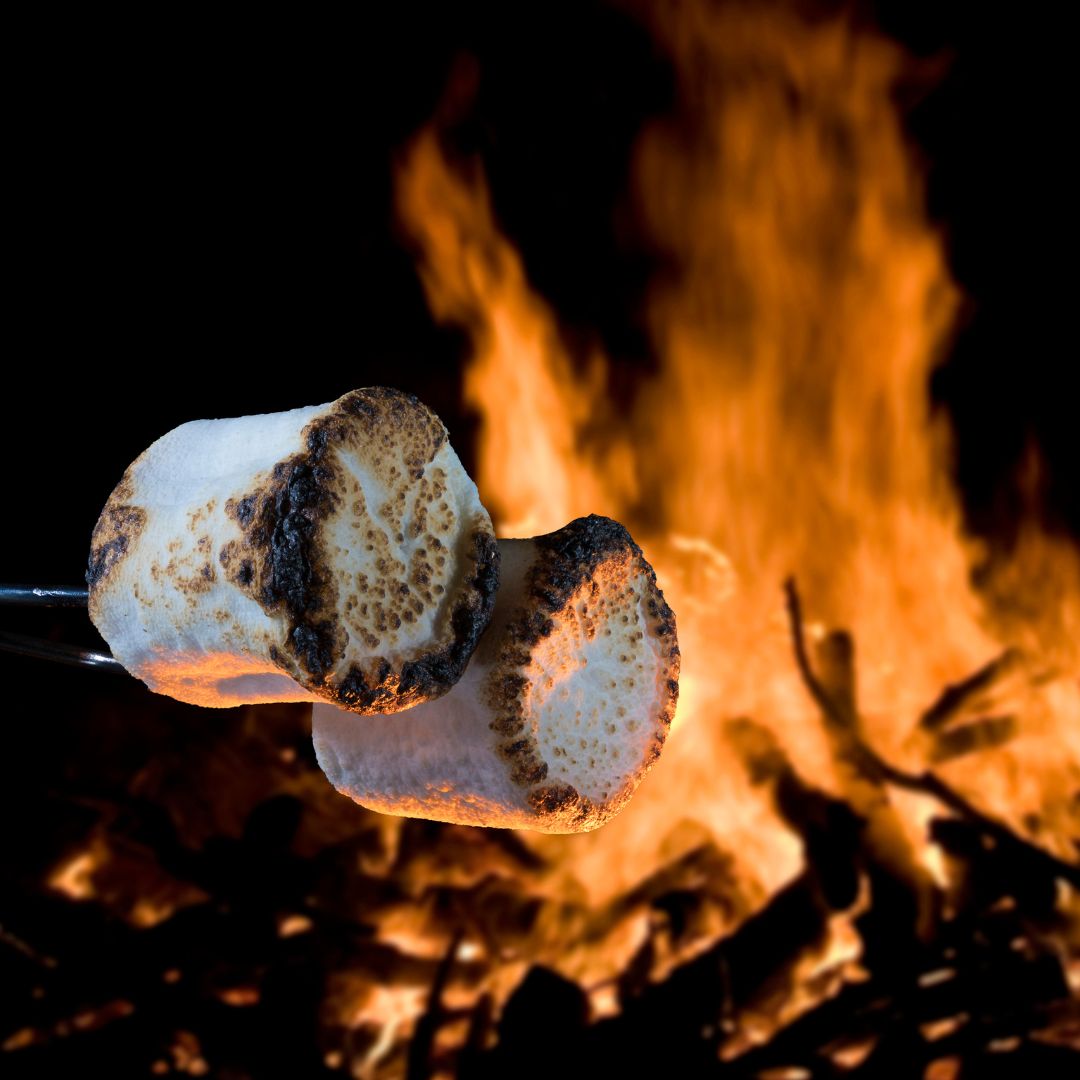 toasted marshmallows 