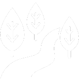river icon