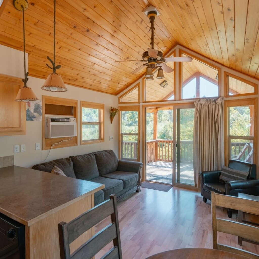 luxury cabin rental with a great nature view