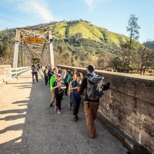 Untitled design - 2026-03-25T130107.797