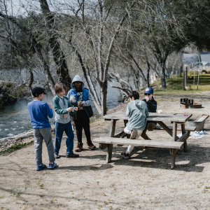 Untitled design - 2026-03-25T130123.210