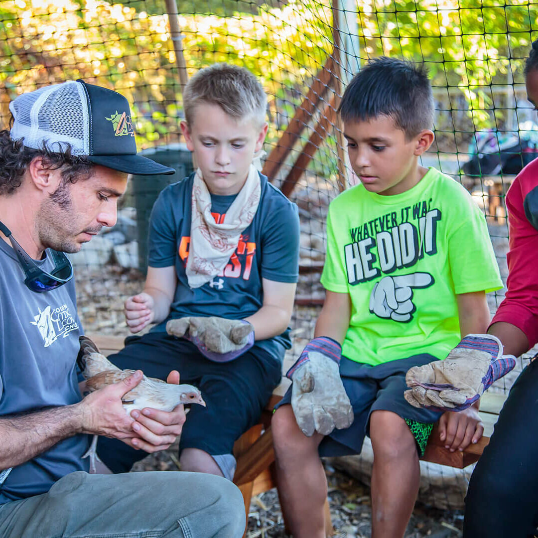 10-24 Bowman Coloma-1052