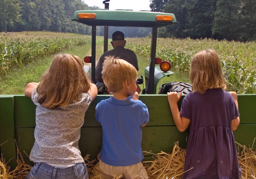 kids on a hay ride