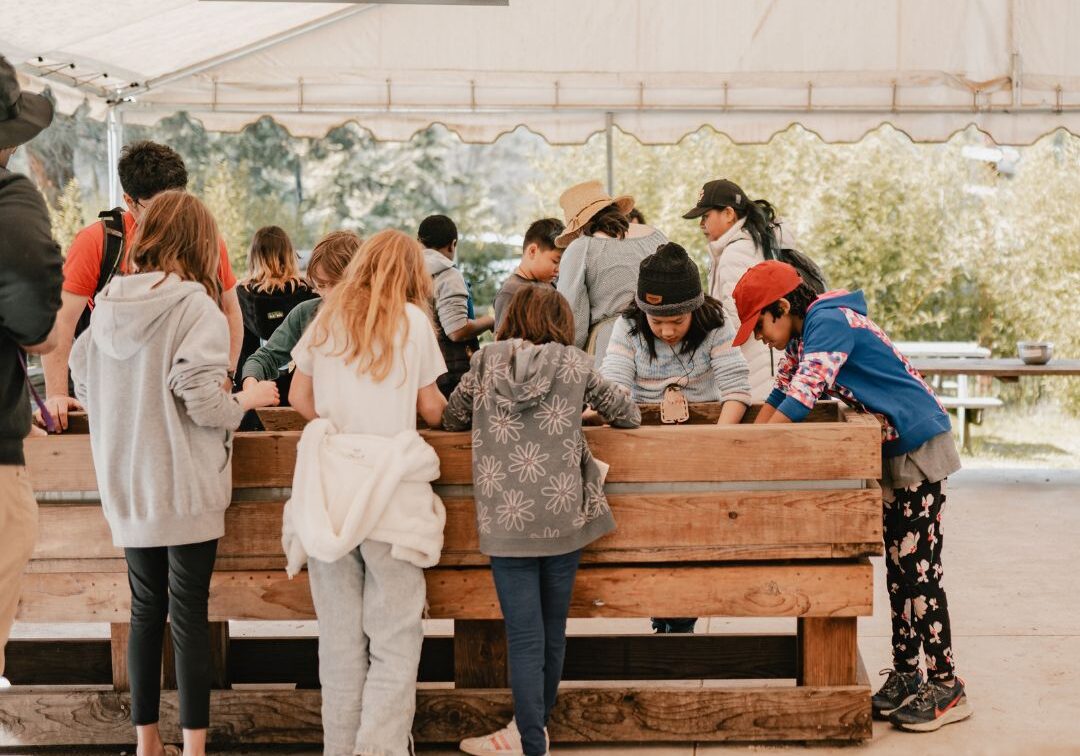 kids panning for gold