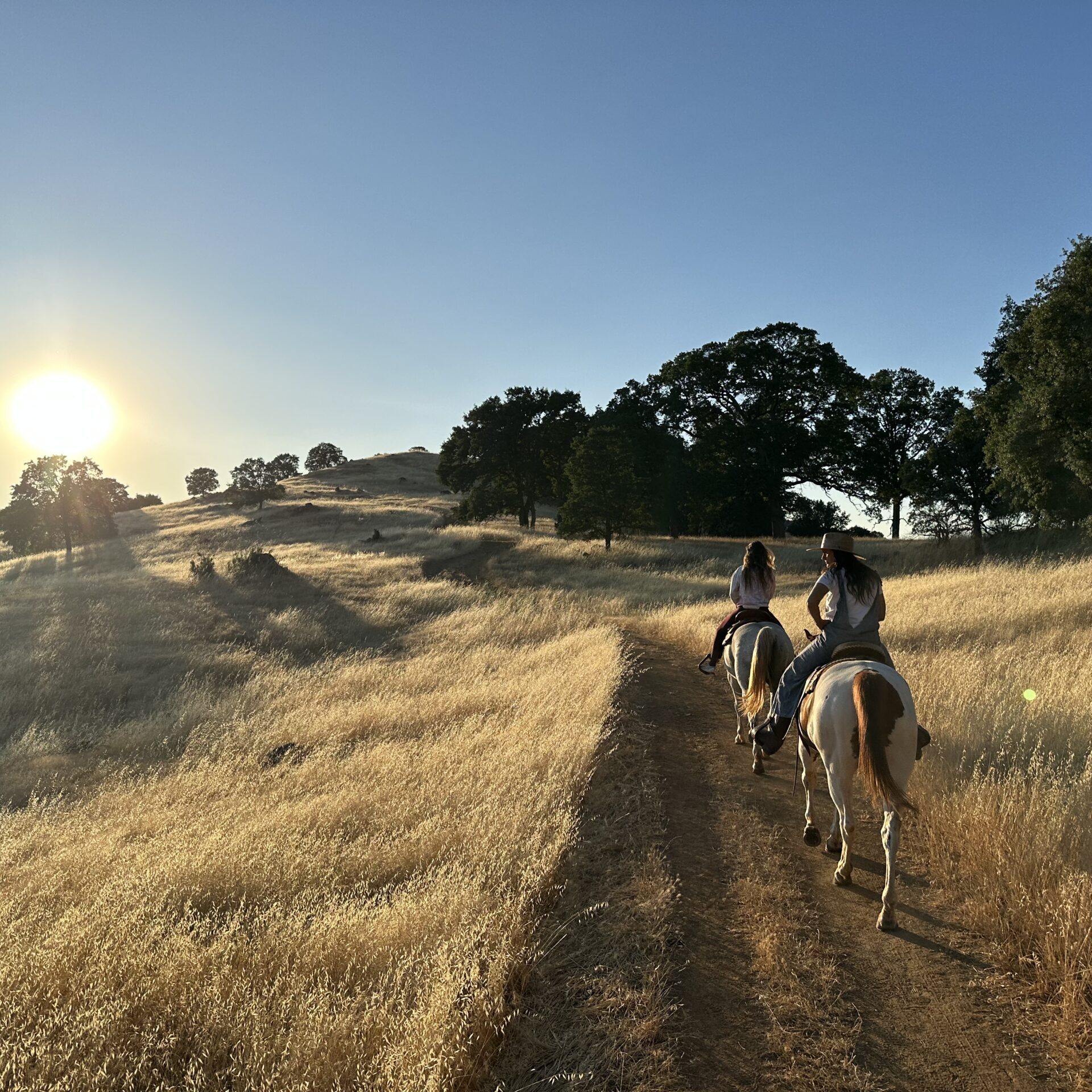 Horseback riding at sunset at coloma resort